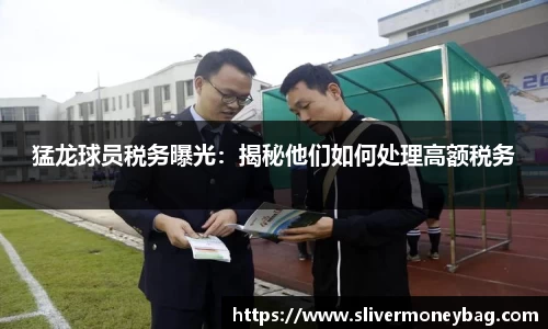猛龙球员税务曝光：揭秘他们如何处理高额税务